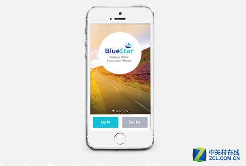 WellDoc 糖尿病管理平台Bluestar